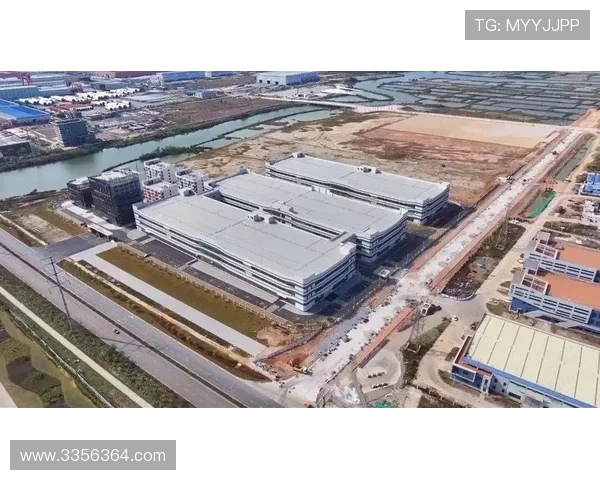 尊龙网平台：多渠道推广策略助力平台品牌影响力不断扩大