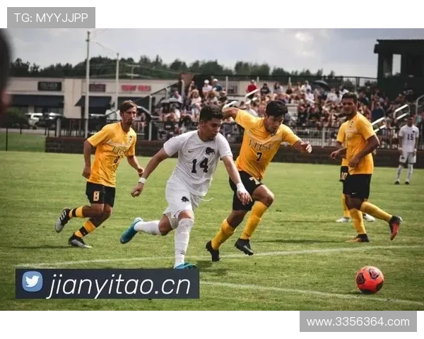 探索尊龙凯时官网平台带来的丰富游戏与无限乐趣