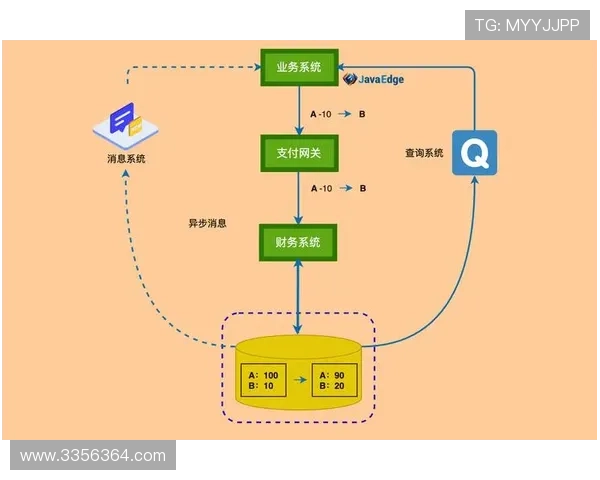 探讨尊龙旗舰网站上的多种支付选项与风险控制