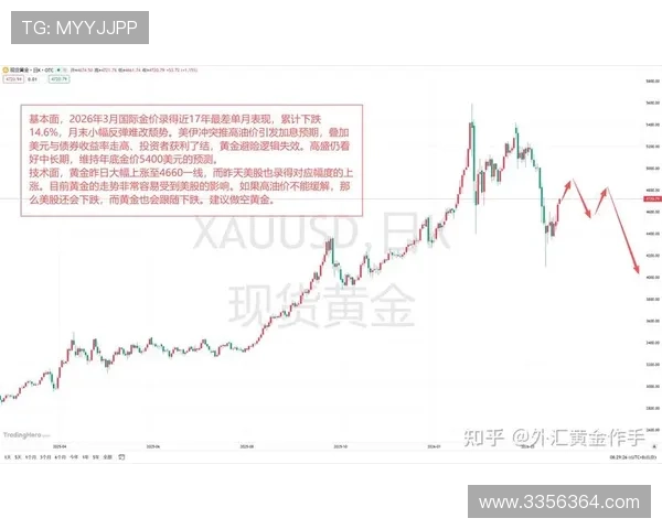 通过尊龙凯时国际版进行外汇交易的技巧与策略